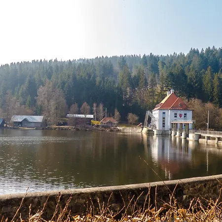 Nr 6d, Hagbuegerl, Bayr Wald