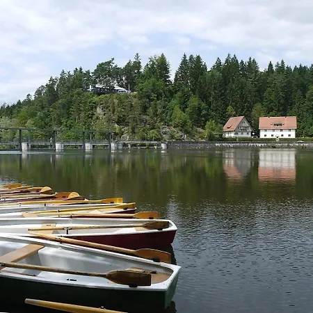 Nr 6d, Hagbuegerl, Bayr Wald Prázdninový dům
